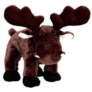 (MOOSE; photo from Amazon.com)